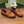 GG LOAFER SHOES IN BRONZE BROWN CALFSKIN