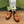 GG Marina Loafer Bronw Patent Calfskin