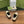 GG LOAFER SHOES IN WHITE CALFSKIN