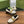GG Marina Loafer Cream Patent Calfskin
