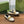 GG Marina Loafer Cream Patent Calfskin