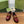 GG LOAFER SHOES IN BLOOD RED CALFSKIN