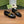GG Marina Loafer Black Calfskin
