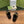 GG Marina Loafer Black Calfskin