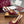 GG Horsebit Slingback 85MM Red Ebony Monogram Canvas Point Toe Crystal-Embellished