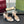 GG Women Horsebit Embossed High Heel Sandal Open Toe Cream Sheepskin 149223