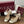 GG Women Horsebit High Heel Sandal Open Toe Cream Sheepskin 225969