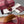 GG D-Shaped Sandals 5.5cm Burgundy Suede Sheepskin 646474