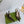 GG 26 Slingback Olive Green Velvet 592420