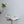 PRA 26SS Slingback 75 White Patent Leather 592339