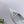 PRA 26SS Slingback 75 White Patent Leather 592339