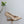 PRA 26SS High Heels Pumps 75 Beige Patent Leather 592355
