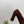 PRA 26SS Square-toe Block Heels 85 Dark Brown Suede 592362