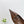 PRA 26SS Pump 55 Brown Cowhide 592416