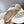 Loewe Foam Slide Beige Rubber