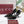 GG 26s Savoy Pumps Black Lambskin Velvet 961244