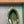 BV Orbit Low Top Sneaker Mesh Green White 573041