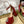 HIGH SANDAL SQUARE HEEL 12 CM IN CHERRY RED CALFSKIN