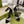 GG CRYSTAL BLACK HIGH HEEL SANDALS SATIN