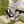 GG CRYSTAL CREAM HIGH HEEL SANDALS SATIN