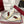 GC 2025 Re-Motion Sneaker White Suede Cowhide 292412