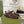 GC 25 Gold Double G Sandal bordeaux Rubber 292434