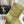 Loewe Lago Boots Light Green Suede 435625