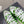 CC Sneaker Green cowhide 204657