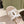 CC 26s Platform Mules Cream Lambskin Fabric 916998