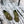 CC Moccasins 25mm In Moss Green Glossy Lambskin 144643
