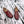 CC Moccasins In Brown Red Lambskin 144538
