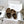 CC 25s Slippers 50mm Brown Wool 433604