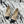 CC SS 2026 Pre Moccasin Black Beige Calfskin 628298