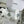 CC Platform Sneakers White Rubber Leather 696670