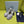 Prada 25 AW Platform Sandals Grey Suede 564118