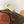 LV Rush Bumbag Brown Boro Monogram Landscape canvas & Cowhide