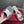 Viv Diamond Sole Mules Silver Cowhide 267687
