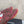 Chanel 26s Sneakers In Dark Brown And Burgundy Red Suede Quilted Cc Logo