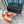 Slingback 50 Red Mesh Calfskin Pointed Toe