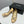 CC 25 Pumps 50mm Beige Black Sheepskin 368793