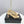 CC 26s Chain Strap High Heels 6.5cm Beige Lambskin