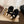UGG Teddy Loafers Black Suede Sheepskin Wool 512889