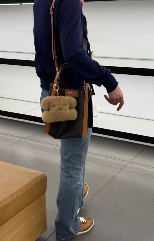 Celine Small Cube Bag Brown Triomphe Canvas Calfskin