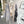 REYKJAVIK GRADIENT SCARF 220 CM IN DOVE GRAY MIX CAMEL BROWN CASHMERE 399737