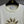 CC 2025 T-shirt White Cotton