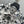 CD 25 Plant Flower Print Denim Jacket White Gray Cotton 205152