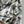 CD 25 Plant Flower Print Denim Jacket White Gray Cotton 205152