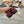 CC 25 Loafer Burgundy Sheepskin 338667