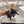 HIGH-HEELS 5 CM IN BLACK CALFSKIN