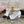 mary janes 60 double buckle white calfskin black grosgrain